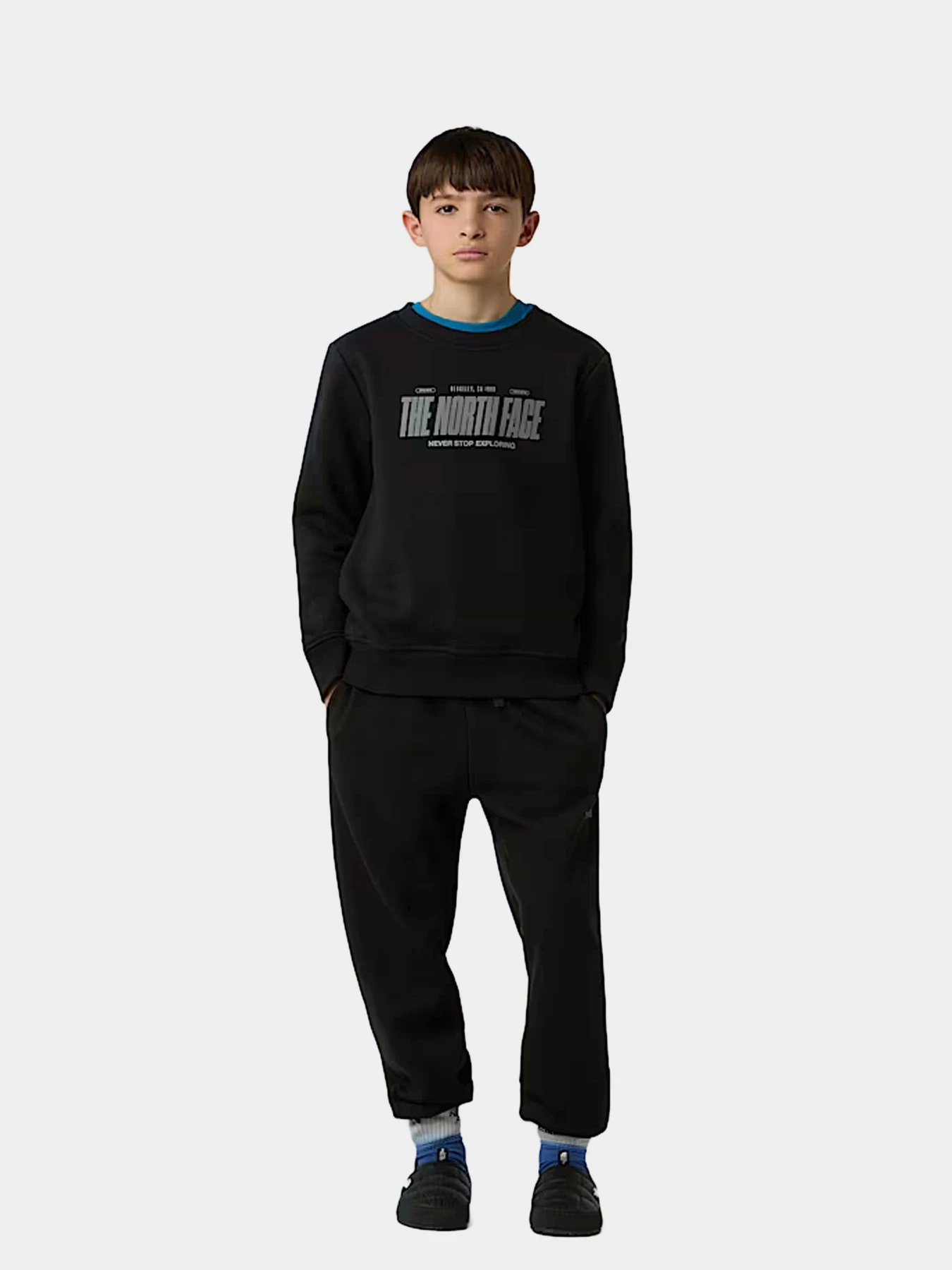 Худи и свитшоты The North Face модель NF0A8EATJK31 Худи и свитшоты The North Face модель NF0A8EATJK31 Фото