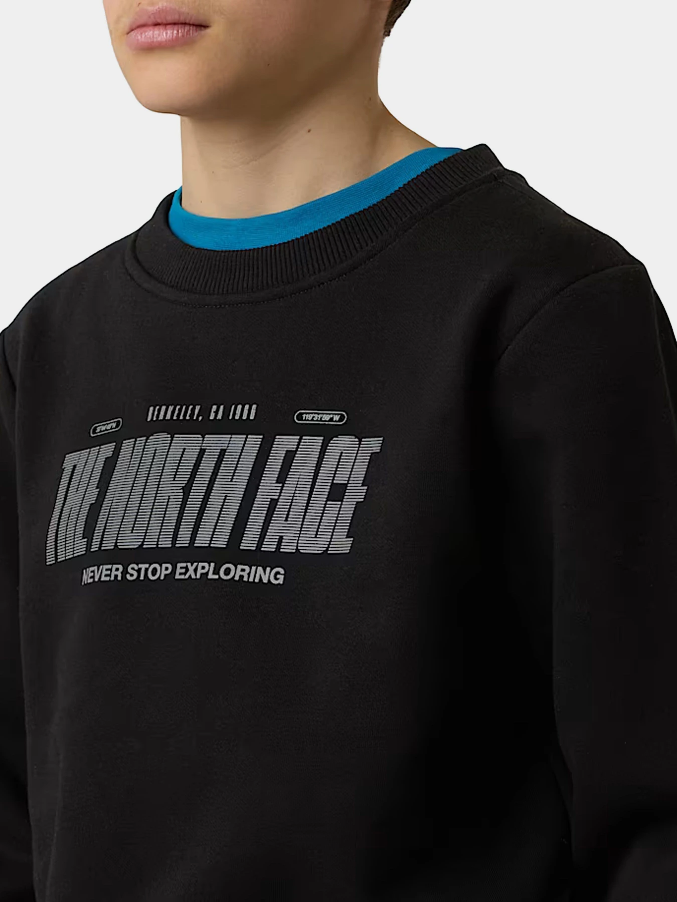 Худи и свитшоты The North Face модель NF0A8EATJK31 Худи и свитшоты The North Face модель NF0A8EATJK31 Фото