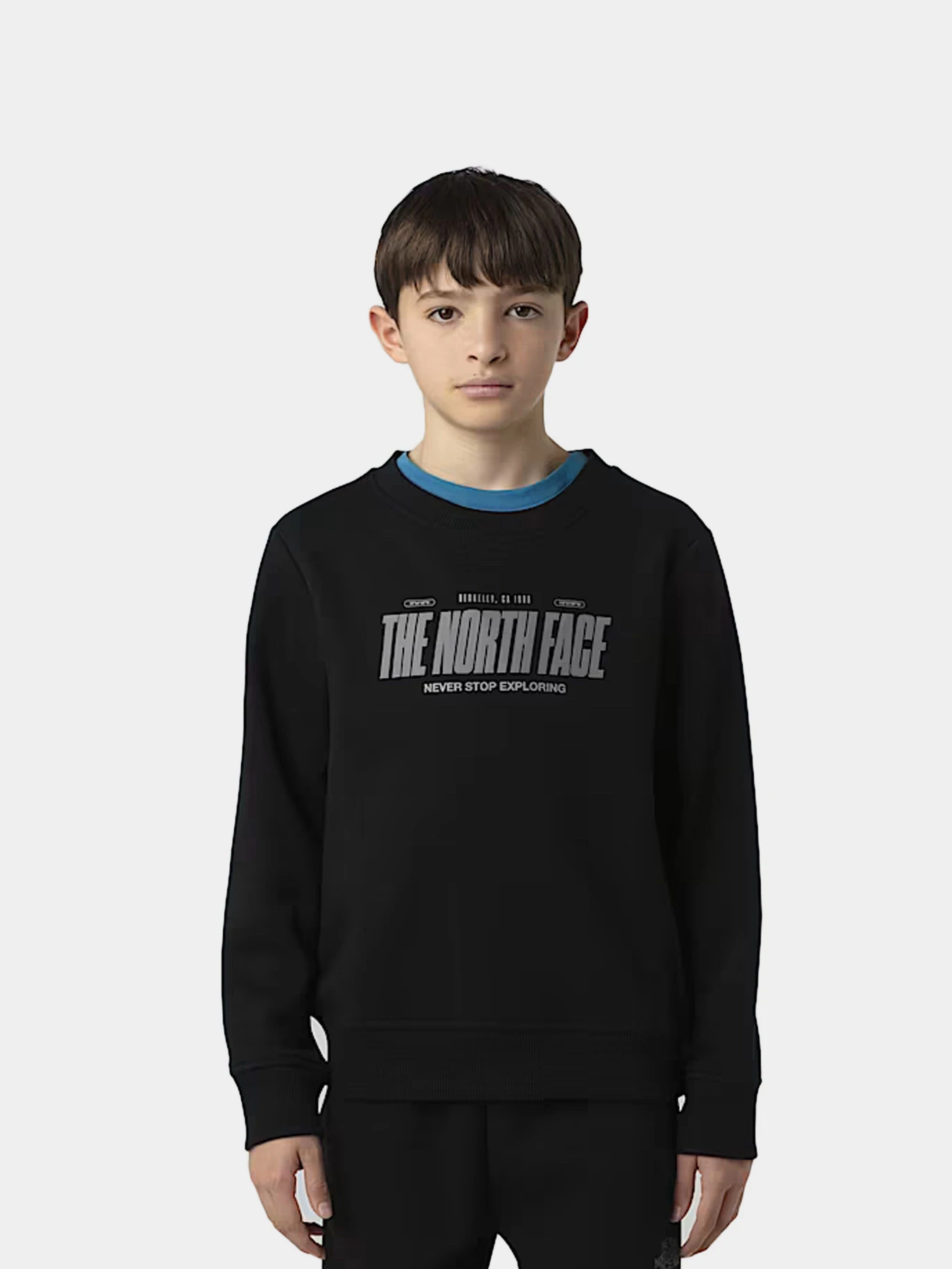 Худи и свитшоты The North Face модель NF0A8EATJK31 Худи и свитшоты The North Face модель NF0A8EATJK31 Фото
