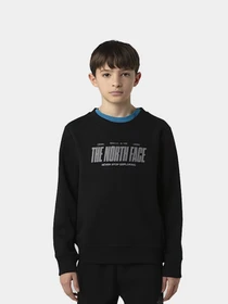 Худи и свитшоты The North Face модель NF0A8EATJK31 Фото