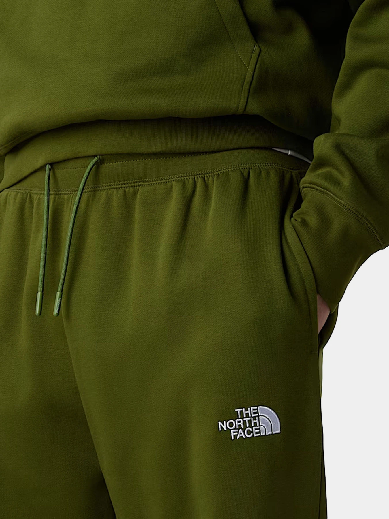 Брюки The North Face модель NF0A8C1FBRI1 Фото