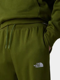 Брюки The North Face модель NF0A8C1FBRI1 Фото