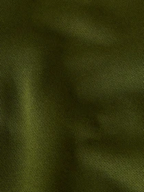 Брюки The North Face модель NF0A8C1FBRI1 Фото