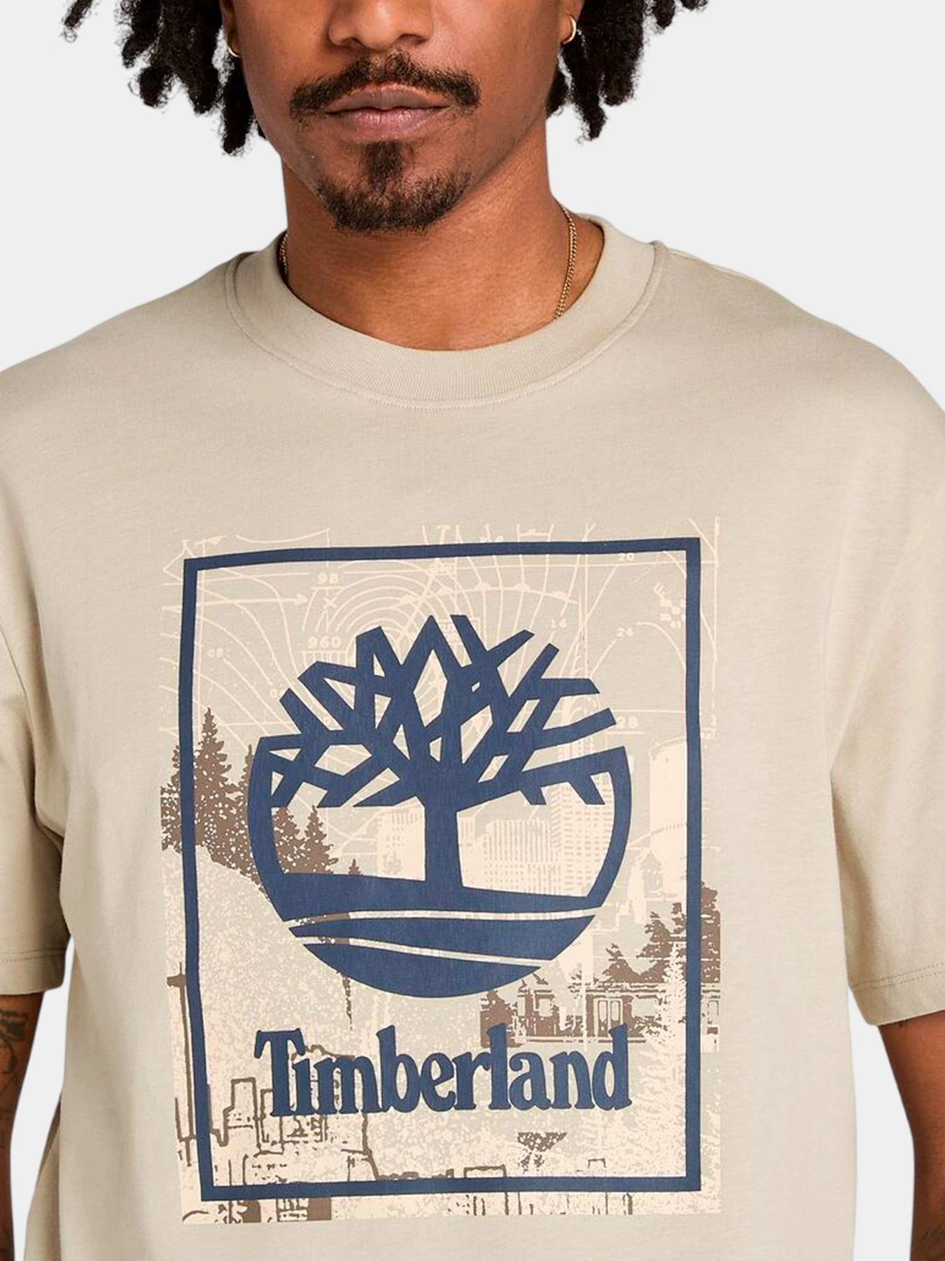 Футболки и поло Timberland модель TB0A5MQPCY2 Фото