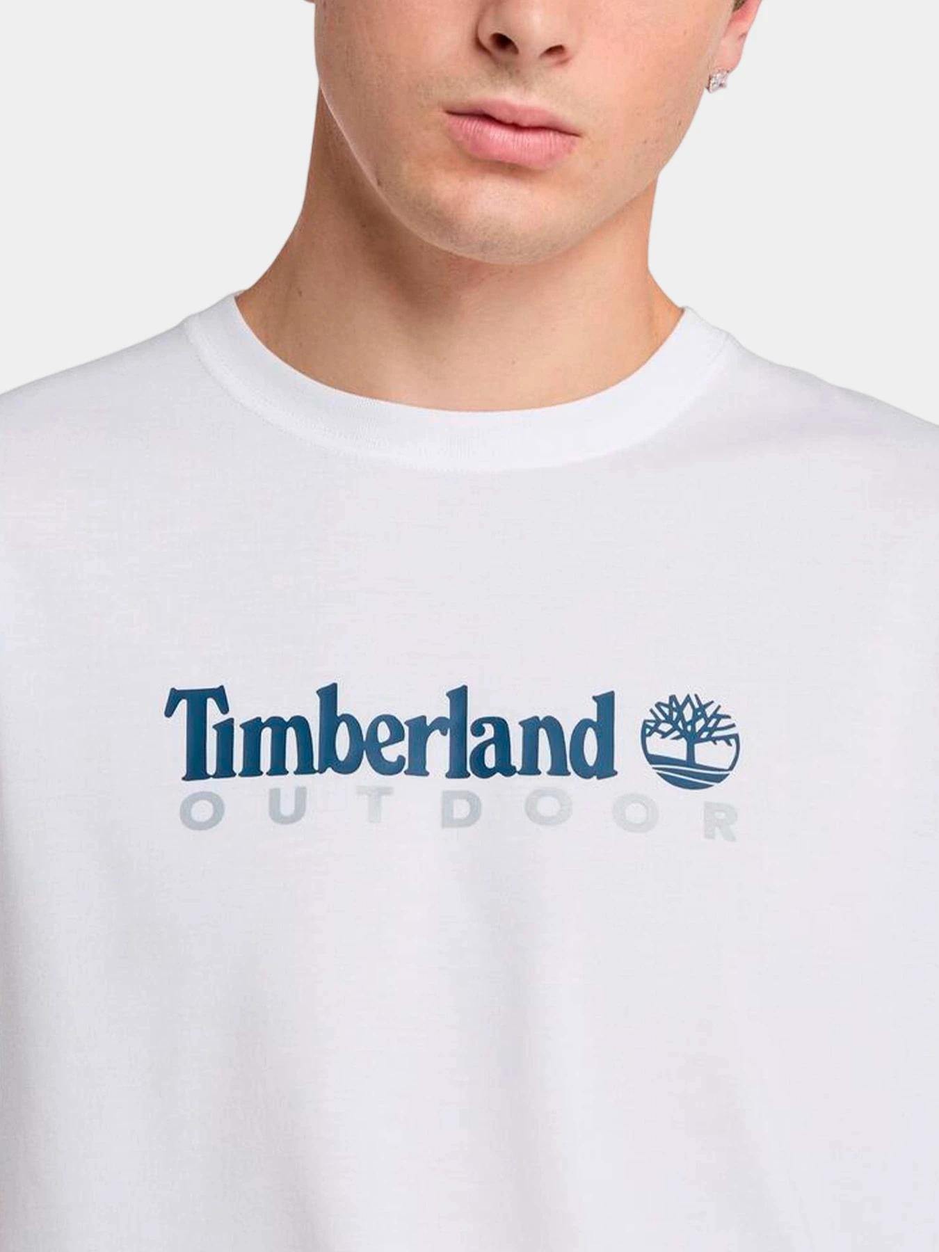 Футболки и поло Timberland модель TB0A5SFX100 Футболки и поло Timberland модель TB0A5SFX100 Фото
