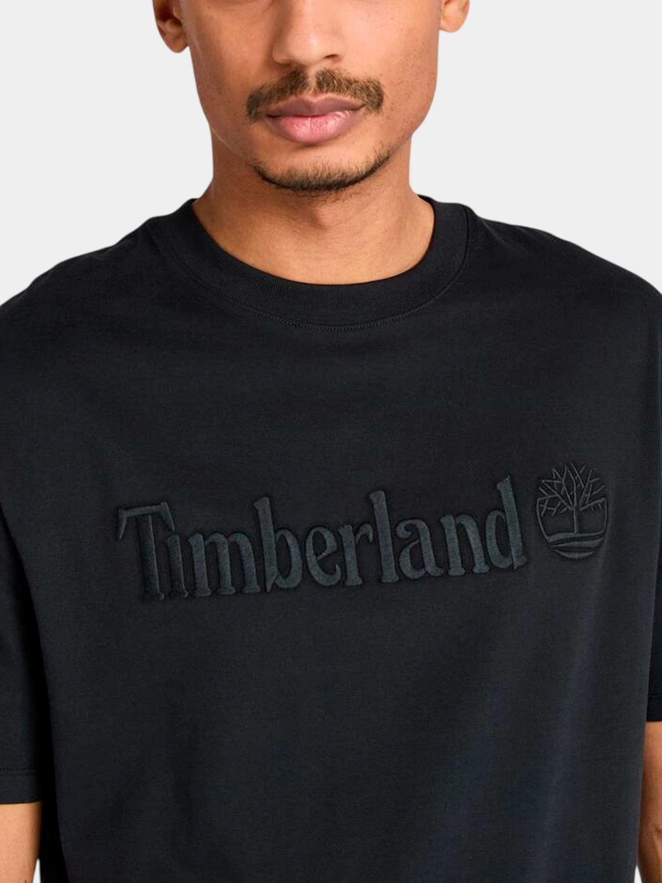 Футболки и поло Timberland модель TB0A6VPE001 Футболки и поло Timberland модель TB0A6VPE001 Фото