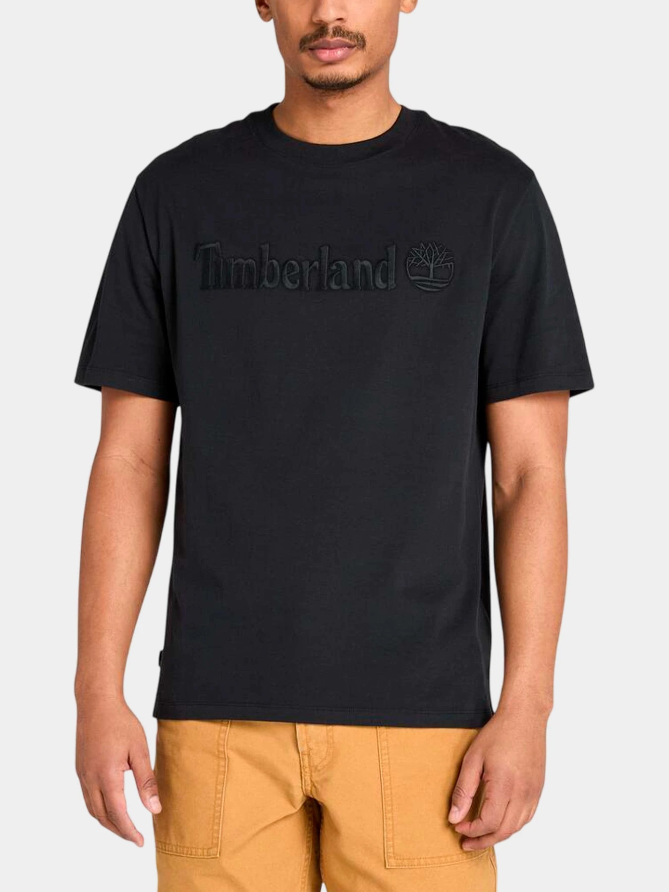 Футболки и поло Timberland модель TB0A6VPE001 Футболки и поло Timberland модель TB0A6VPE001 Фото