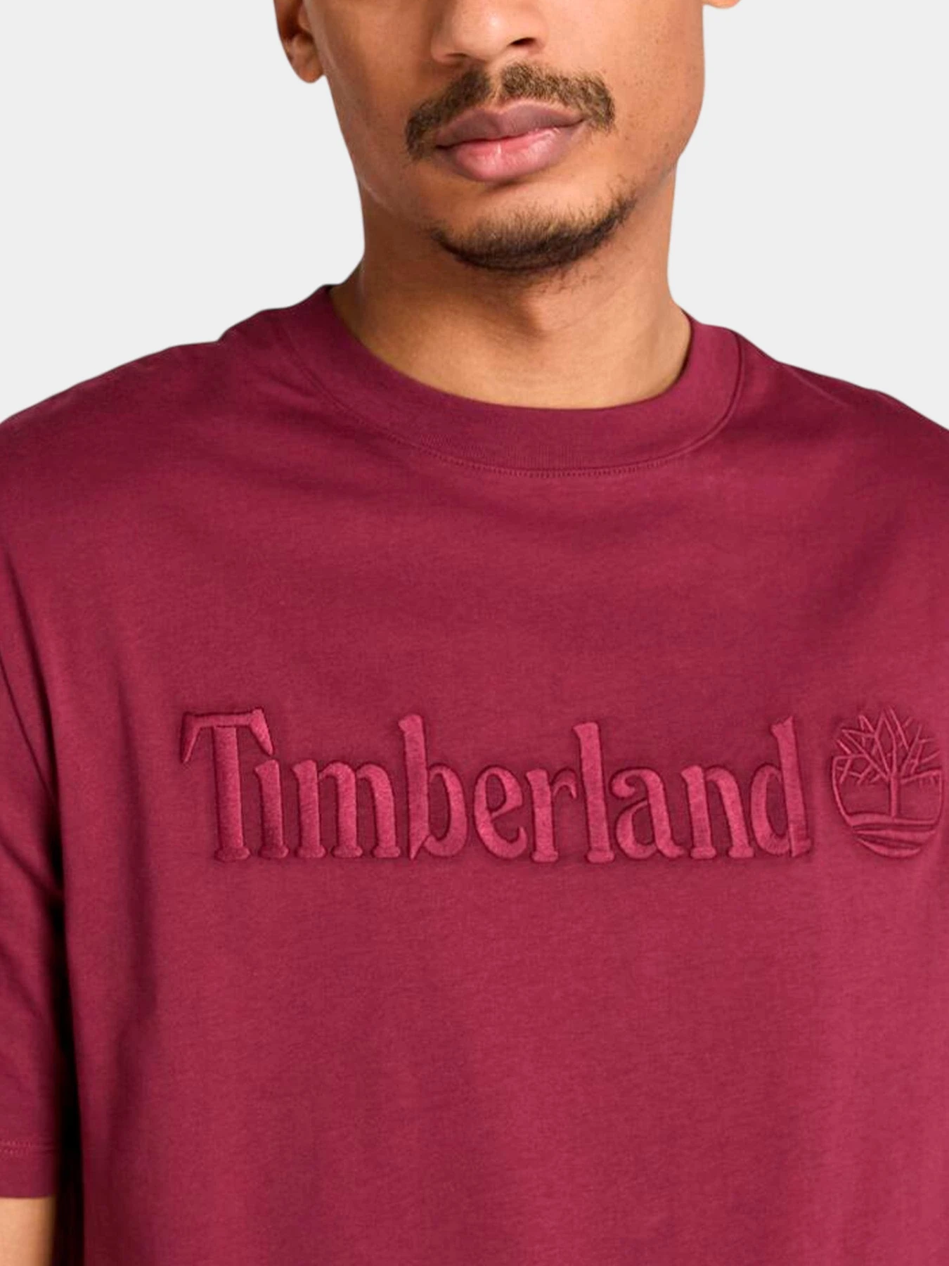 Футболки и поло Timberland модель TB0A6VPE648 Футболки и поло Timberland модель TB0A6VPE648 Фото
