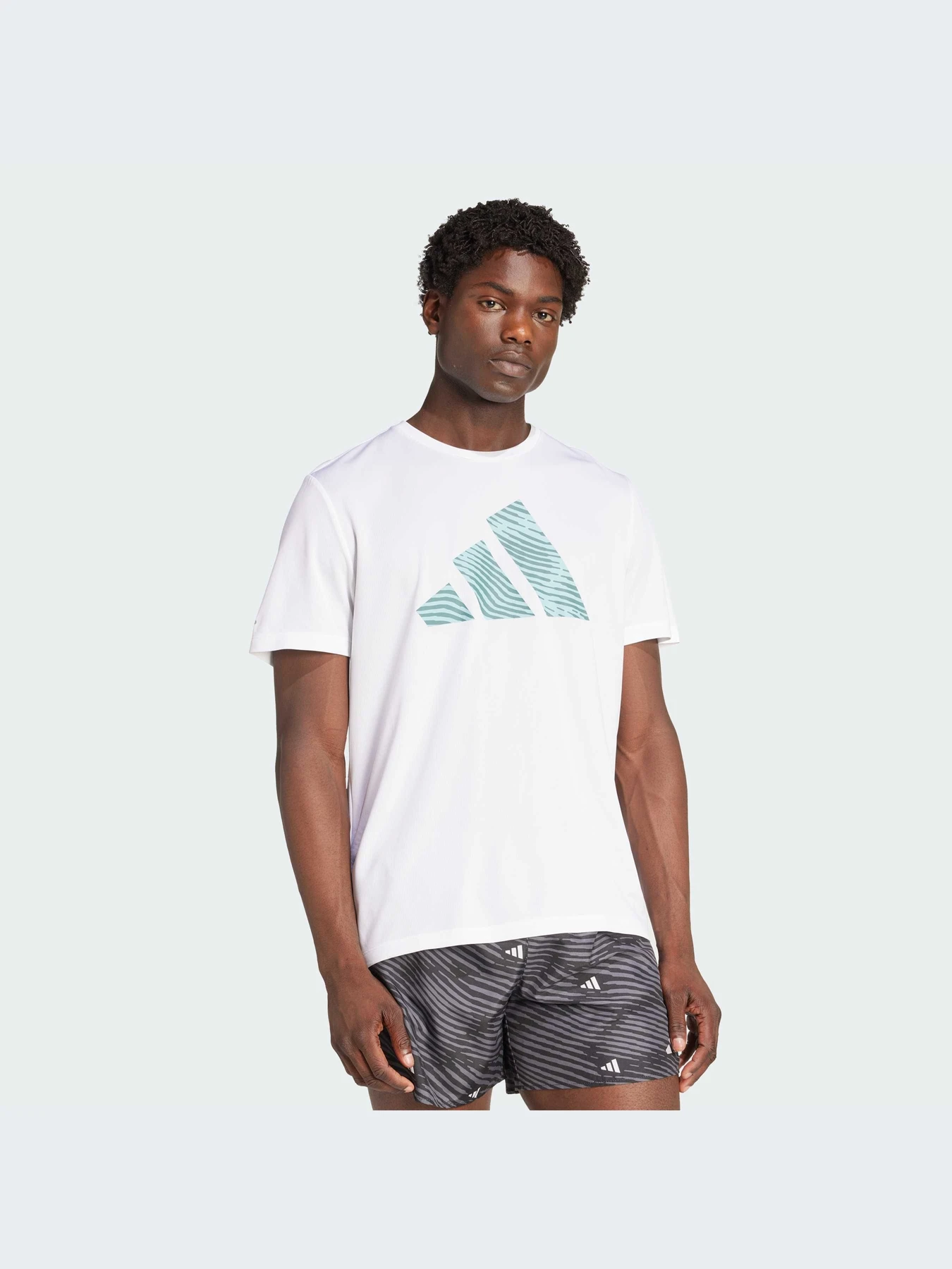 Футболки и поло Adidas модель JM5740-KZ Футболки и поло Adidas модель JM5740-KZ Фото
