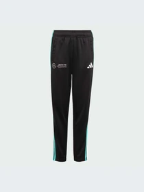 Брюки Adidas модель JV5431-KZ Фото