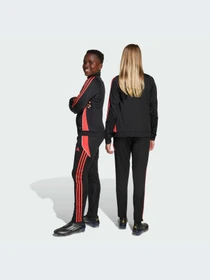 Брюки Adidas модель JY9526-KZ Фото