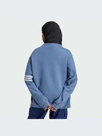 Худи и свитшоты Adidas Adicolor модель IX9879-KZ Фото