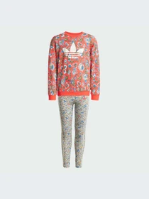 Костюмы Adidas Graphics модель JV7803-KZ Фото