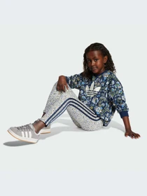 Костюмы Adidas Graphics модель JV7804-KZ Фото