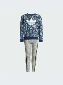 Костюмы Adidas Graphics модель JV7804-KZ Фото