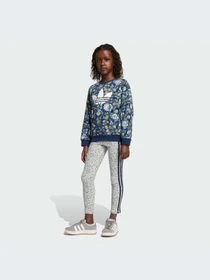 Костюмы Adidas Graphics модель JV7804-KZ Фото