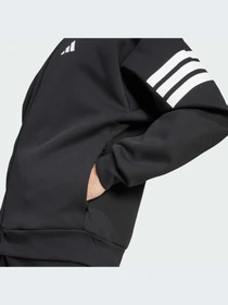 Худи и свитшоты Adidas модель JD4885-KZ Фото