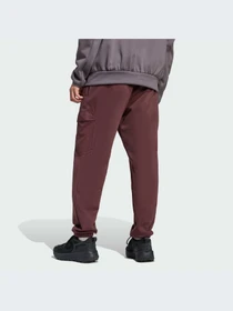 Брюки Adidas модель JF3307-KZ Фото