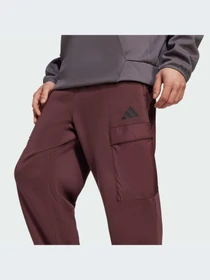 Брюки Adidas модель JF3307-KZ Фото