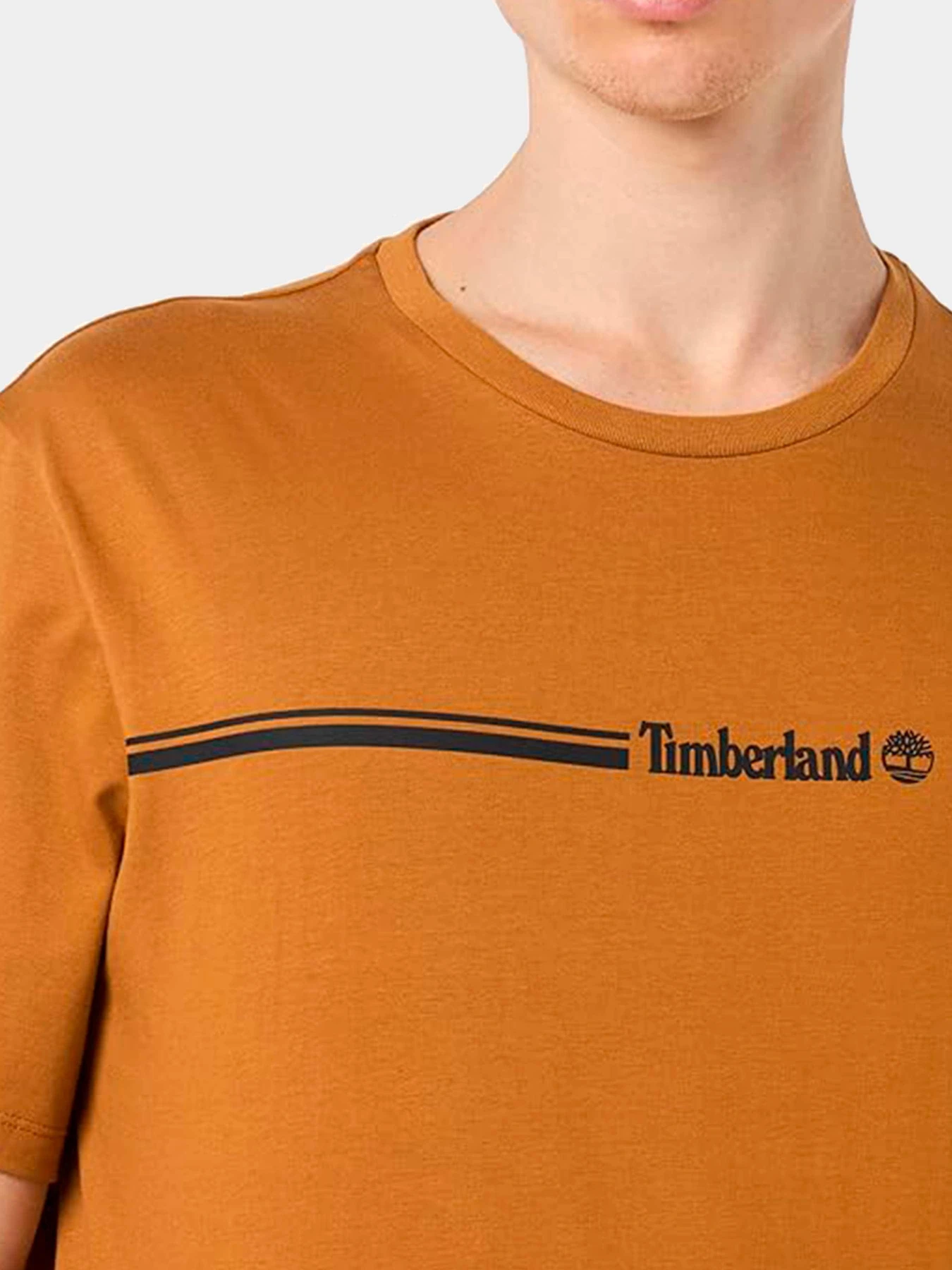 Футболки и поло Timberland модель TB0A65M7P47 Футболки и поло Timberland модель TB0A65M7P47 Фото