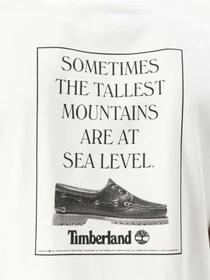 Футболки и поло Timberland модель TB0A6KGQ100 Фото