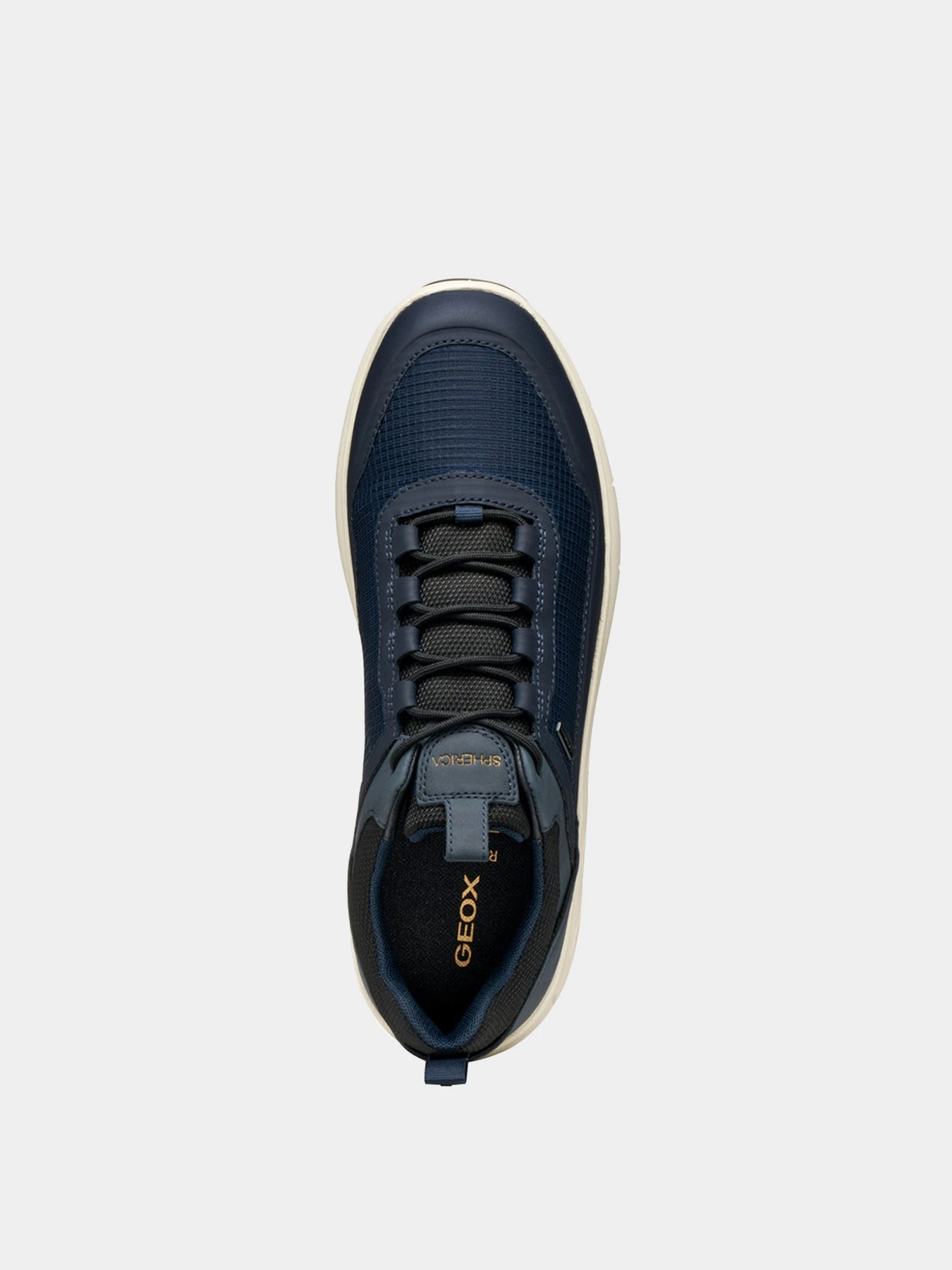 Кроссовки Geox модель U56FDA-0119J-C4002 Кроссовки Geox модель U56FDA-0119J-C4002 Фото