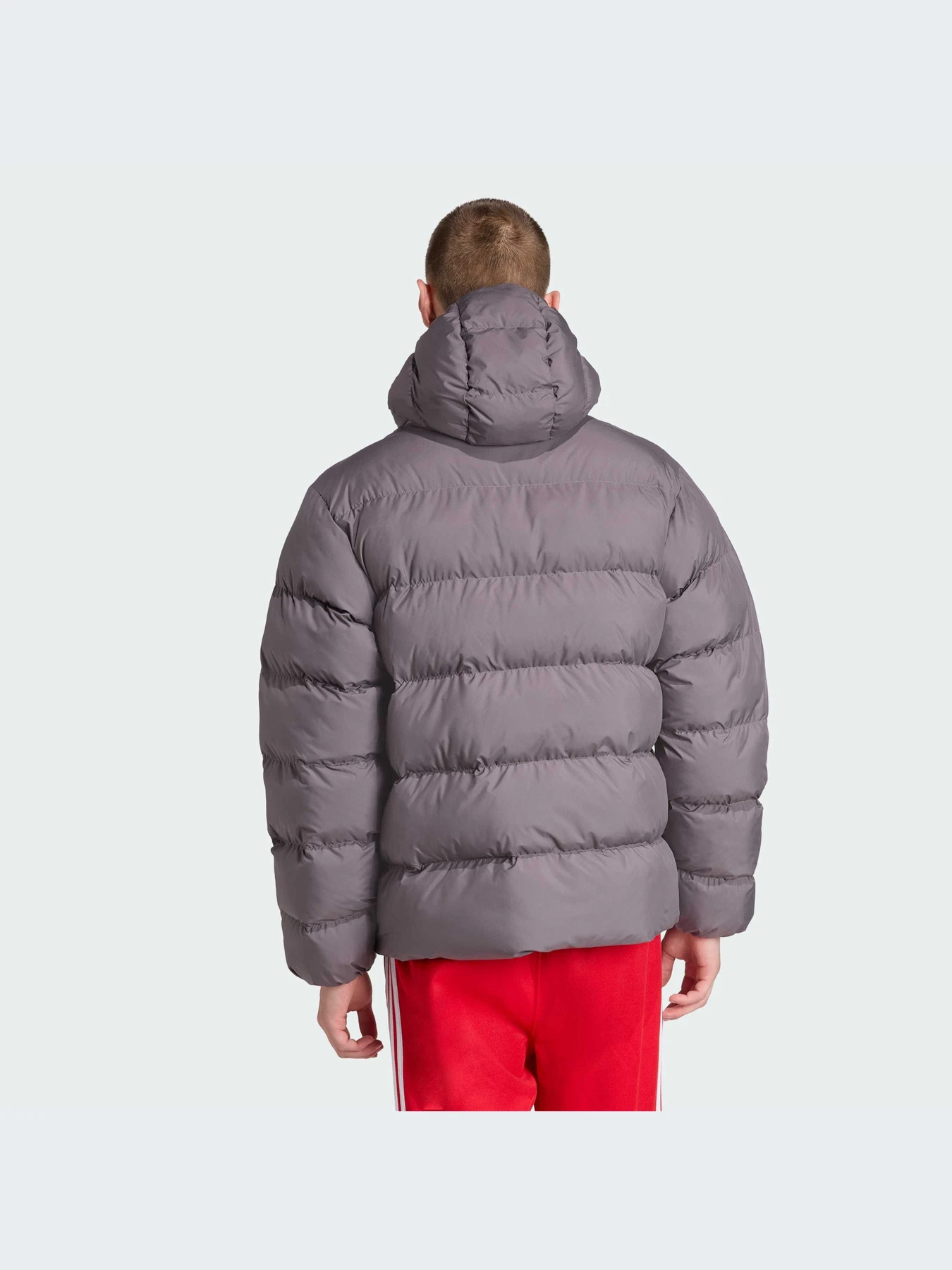 Куртки и дубленки Adidas модель JX4122-KZ Куртки и дубленки Adidas модель JX4122-KZ Фото
