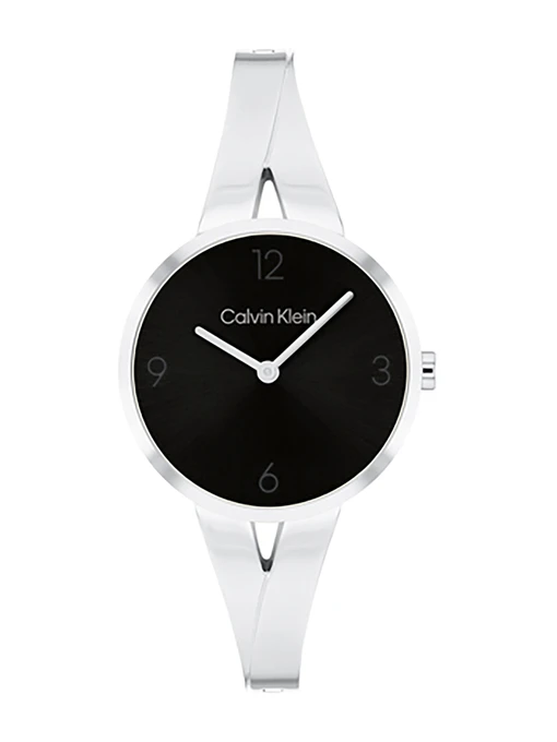 Часы Calvin Klein модель 25100026 Фото