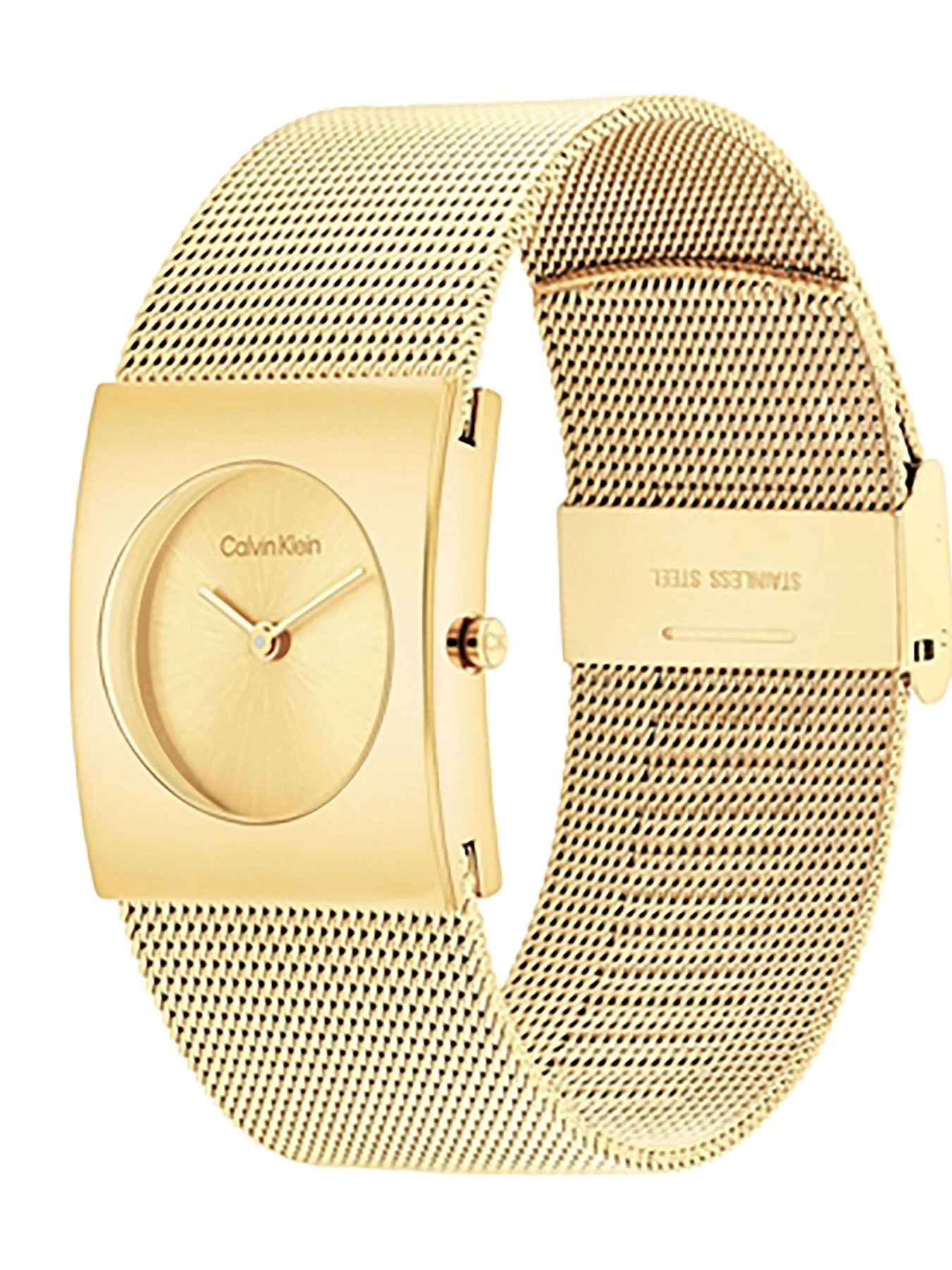 Часы Calvin Klein модель 25100062 Часы Calvin Klein модель 25100062 Фото