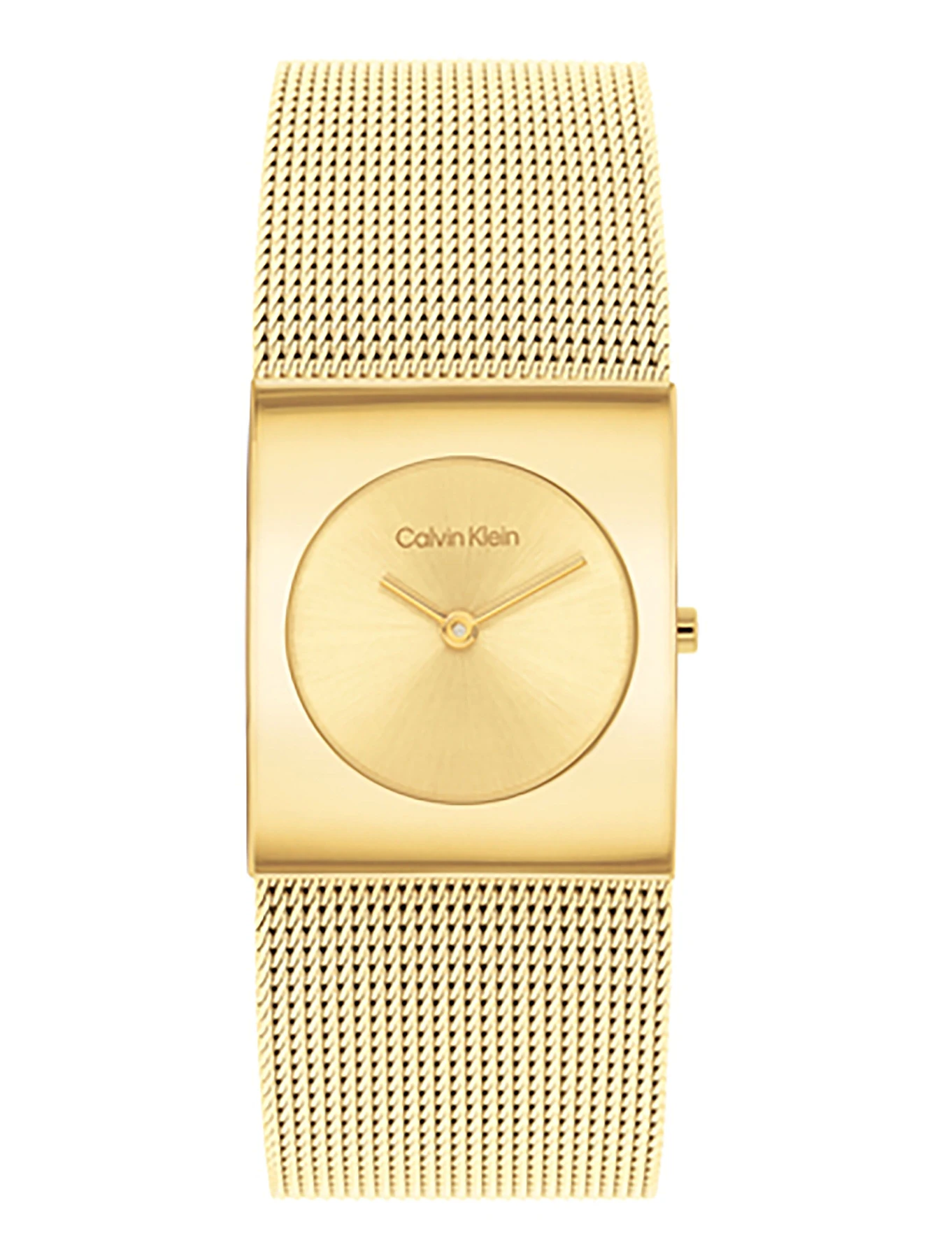 Часы Calvin Klein модель 25100062 Часы Calvin Klein модель 25100062 Фото