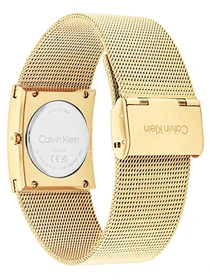 Часы Calvin Klein модель 25100062 Фото