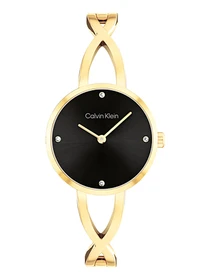 Часы Calvin Klein модель 25100059 Фото