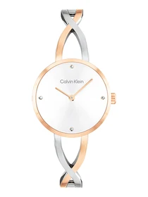 Часы Calvin Klein модель 25100060 Фото