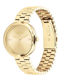 Часы Calvin Klein модель 25100094 Фото