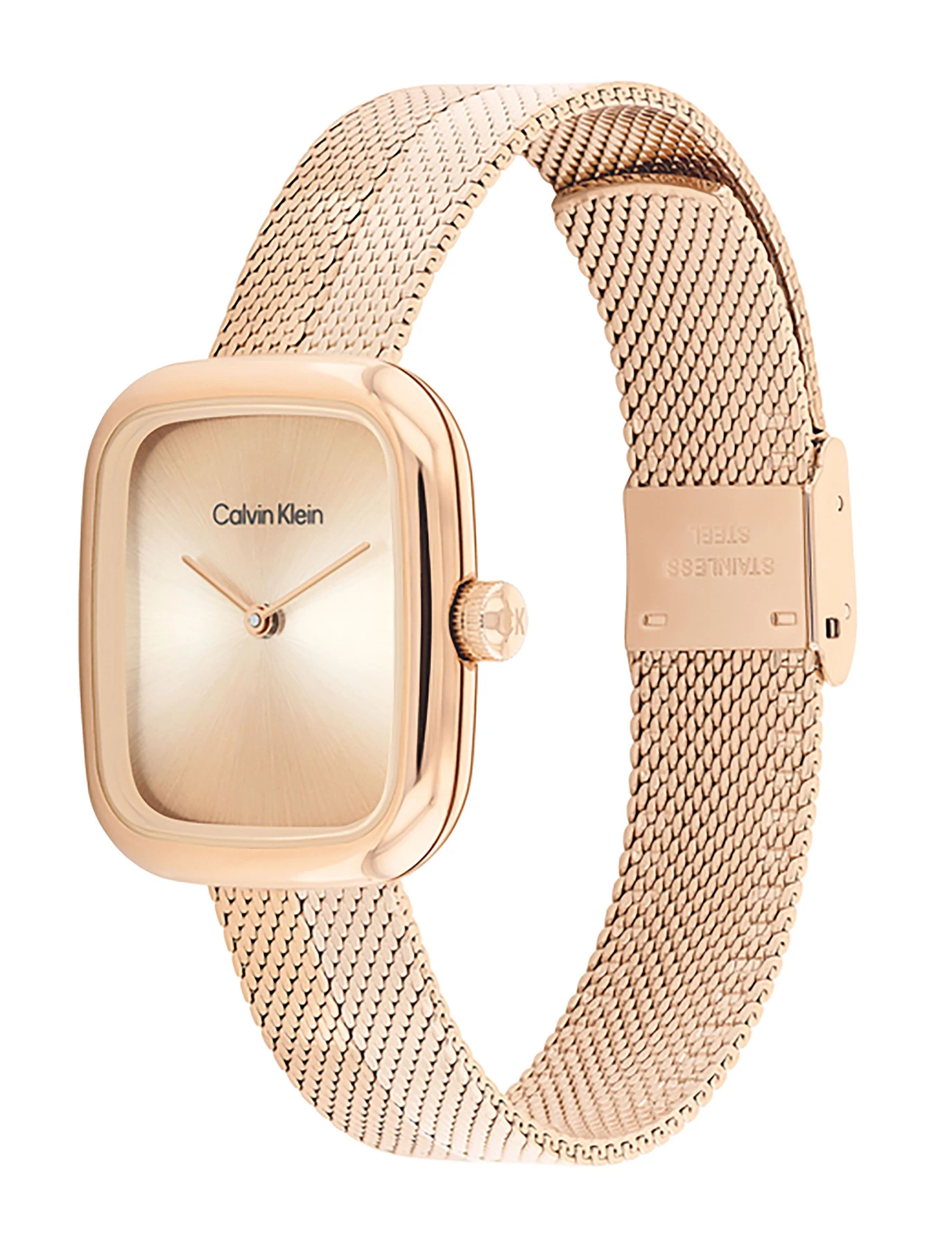 Часы Calvin Klein модель 25100101 Часы Calvin Klein модель 25100101 Фото
