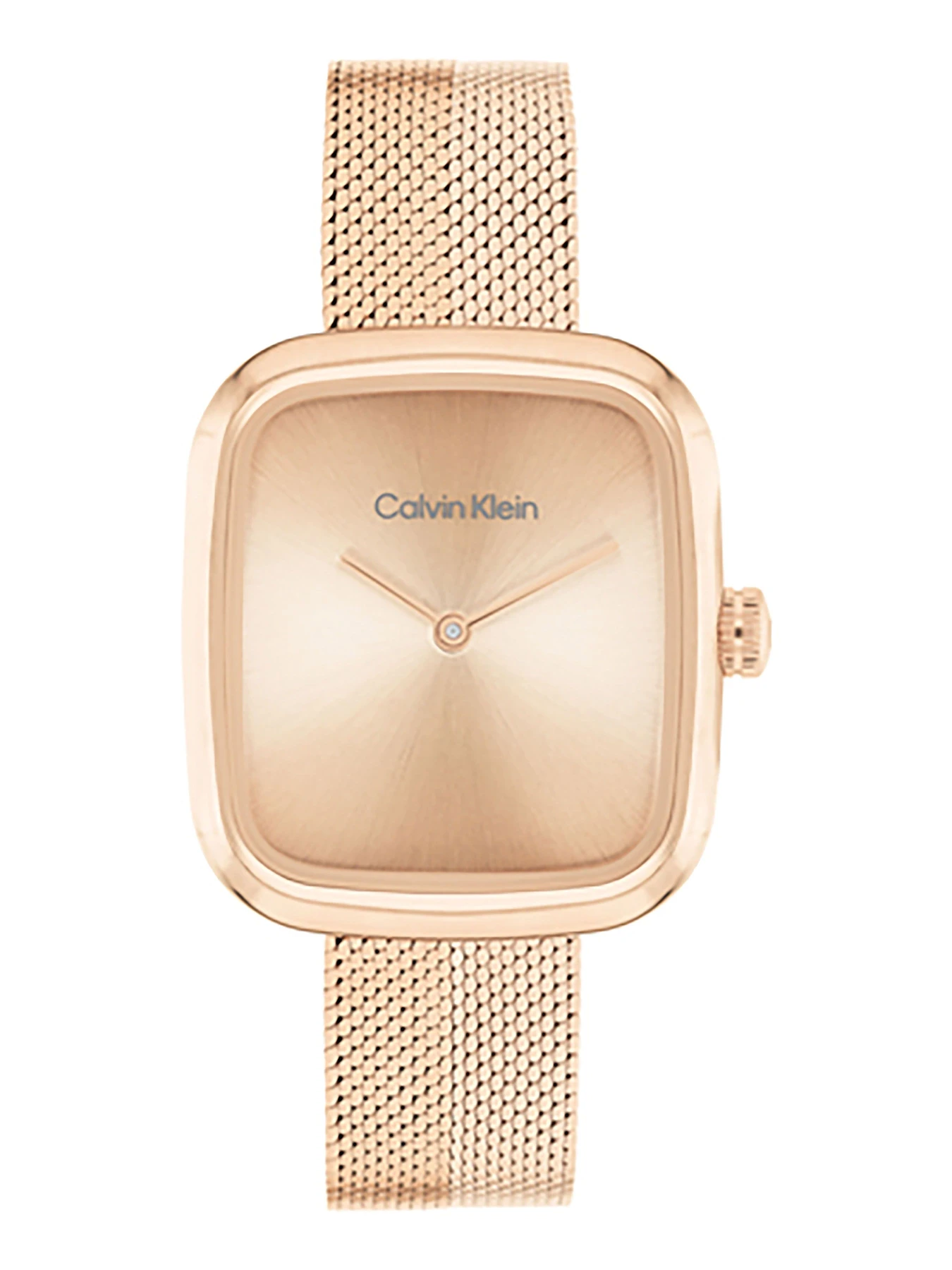 Часы Calvin Klein модель 25100101 Часы Calvin Klein модель 25100101 Фото