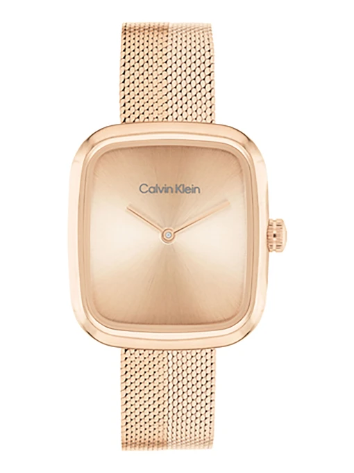 Часы Calvin Klein модель 25100101 Фото