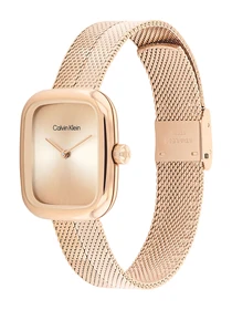 Часы Calvin Klein модель 25100101 Фото