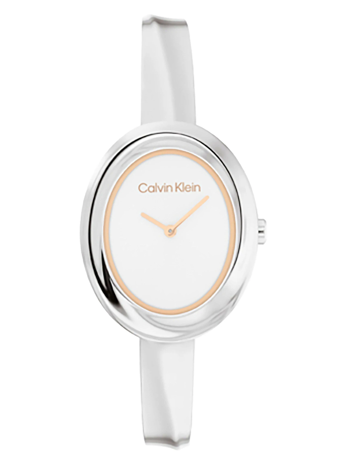 Часы Calvin Klein модель 25100055 Фото
