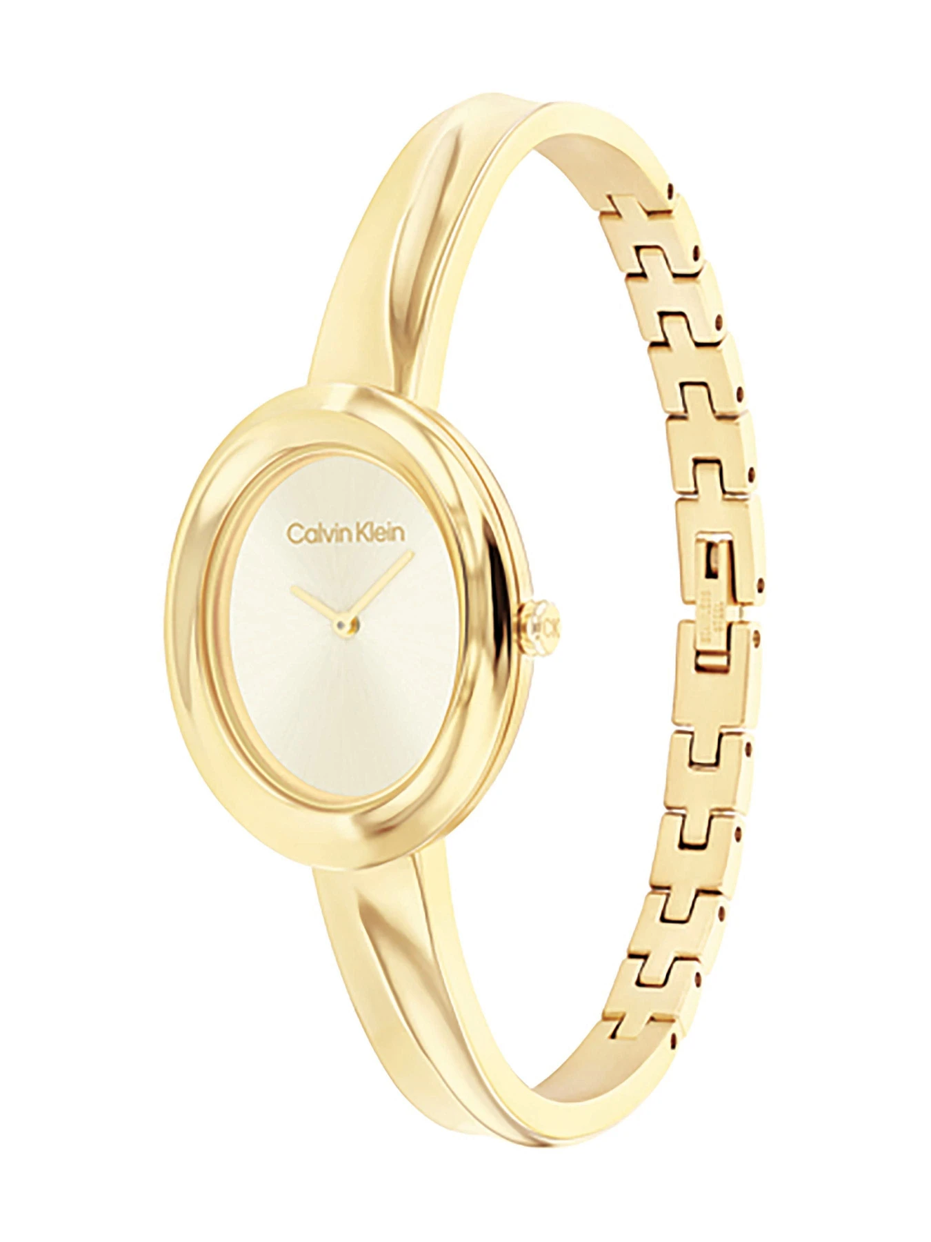 Часы Calvin Klein модель 25100056 Фото