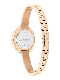 Часы Calvin Klein модель 25100057 Фото