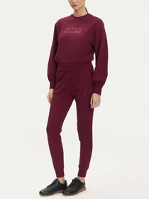Худи и свитшоты Armani Exchange модель XW000747-AF16114-UA343 Фото