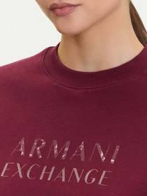 Худи и свитшоты Armani Exchange модель XW000747-AF16114-UA343 Фото