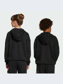Худи и свитшоты Adidas Adicolor модель JV8637-KZ Фото
