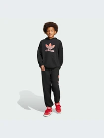 Худи и свитшоты Adidas Adicolor модель JV8637-KZ Фото