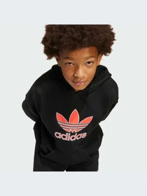 Худи и свитшоты Adidas Adicolor модель JV8637-KZ Фото