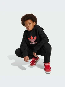 Худи и свитшоты Adidas Adicolor модель JV8637-KZ Фото