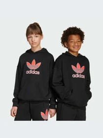 Худи и свитшоты Adidas Adicolor модель JV8637-KZ Фото