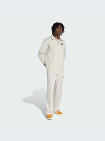 Худи и свитшоты Adidas Graphics модель JX8172-KZ Фото