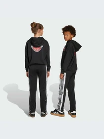 Брюки Adidas Adicolor модель JX1091-KZ Фото